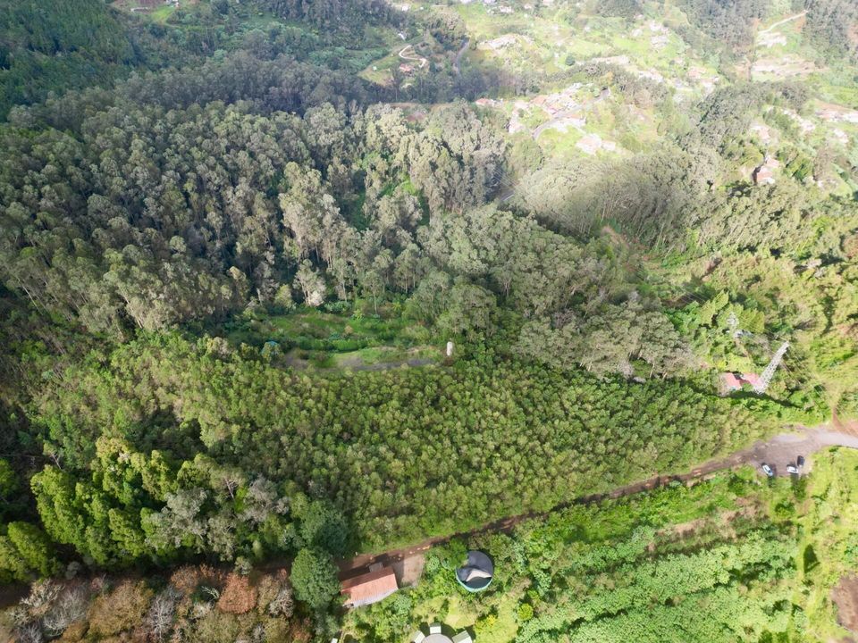 Helårsgrund i Santa Cruz, Madeira - foto 1