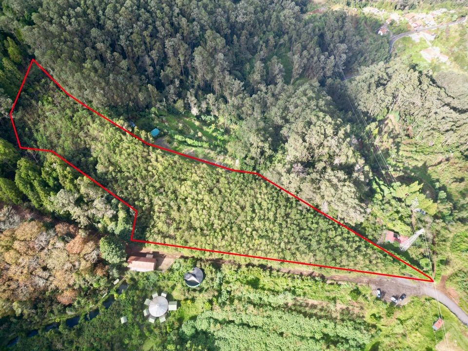 Helårsgrund i Santa Cruz, Madeira - foto 3