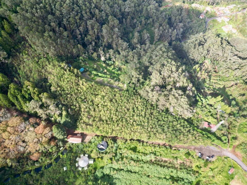 Helårsgrund i Santa Cruz, Madeira - foto 4