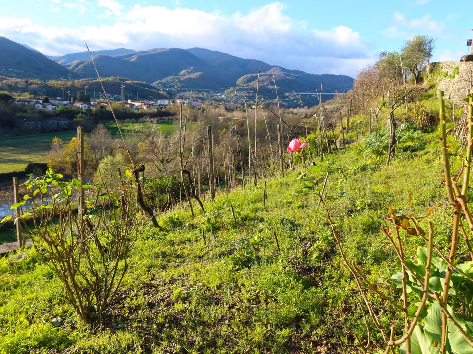 Villa i Pontremoli, Massa and Carrara - bilde 3