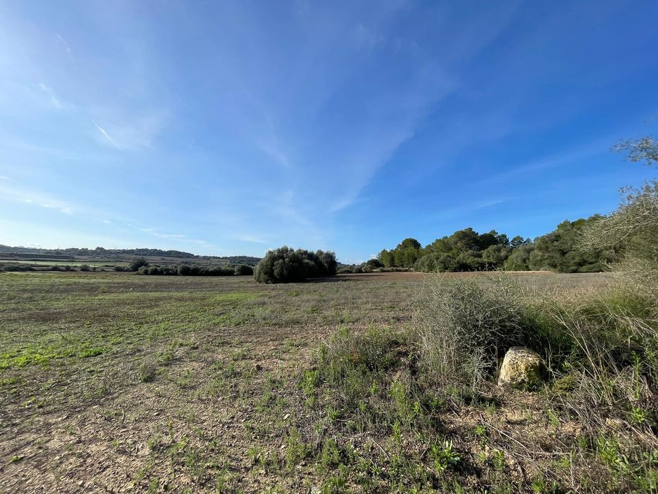 Terra a Muro, Mallorca - foto 5