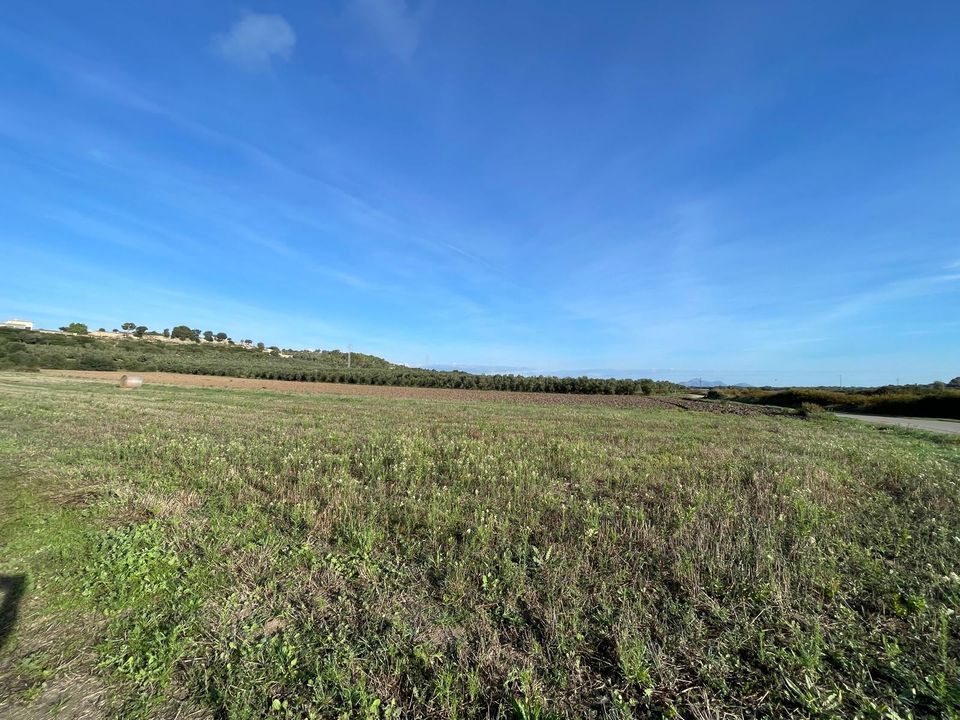 Terra a Muro, Mallorca - foto 1