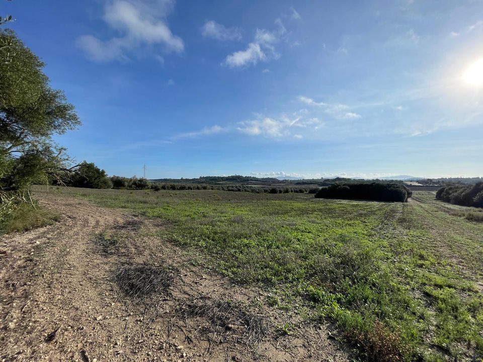 Terra a Muro, Mallorca - foto 5