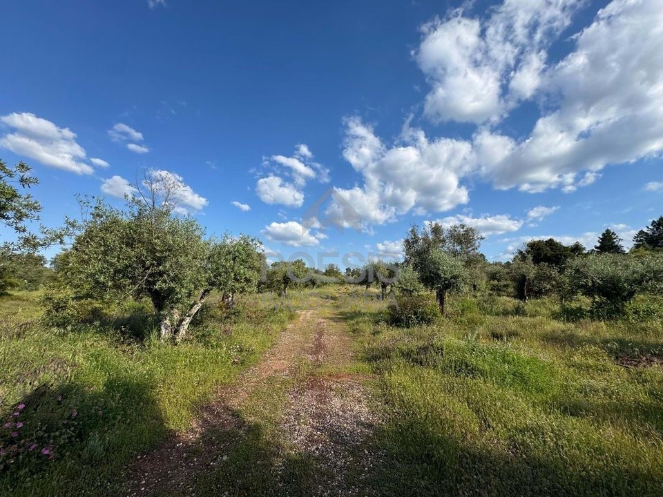 Helårsgrund i Borba, Evora - foto 1