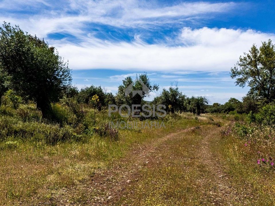 Helårsgrund i Borba, Evora - foto 5