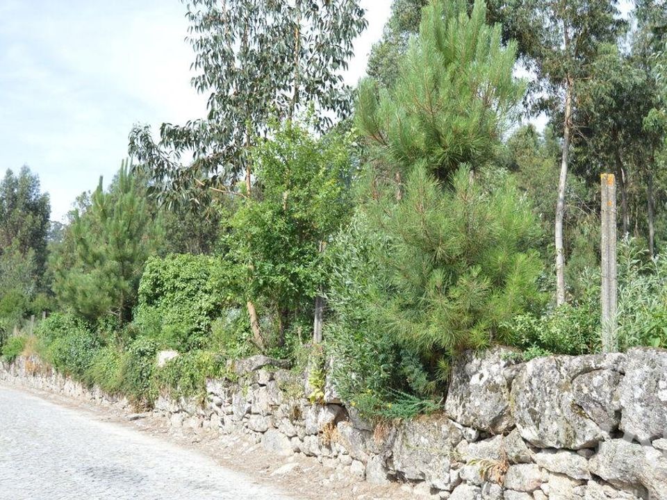 Helårsgrund i Penafiel, Porto - foto 4
