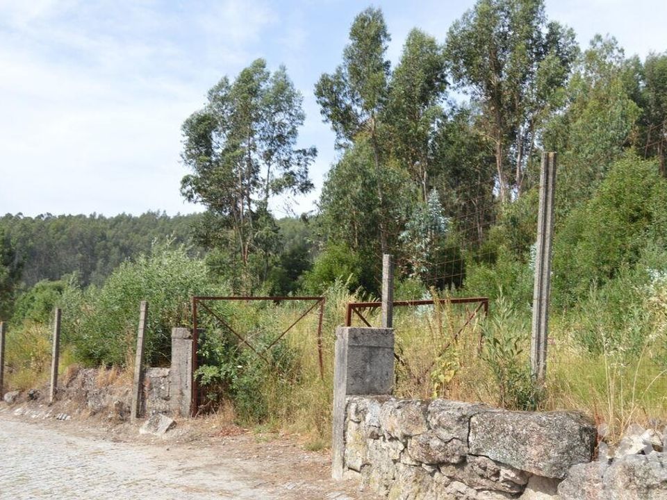 Helårsgrund i Penafiel, Porto - foto 5