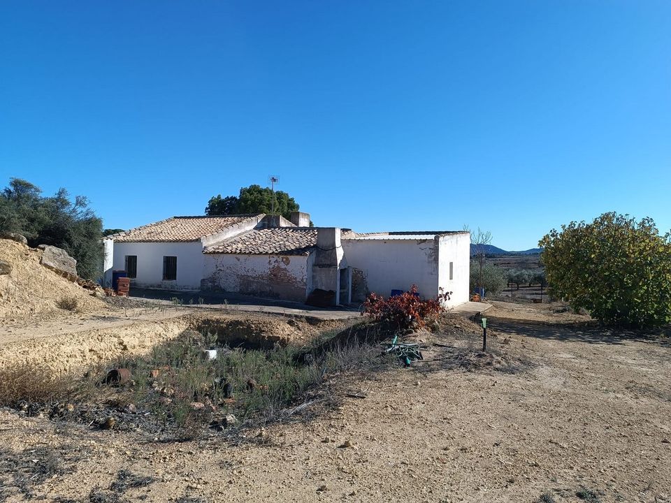 Landejendom i Yecla, Murcia - foto 2