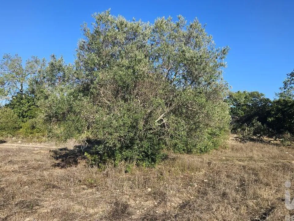 Helårsgrund i Faro, Faro - foto 4