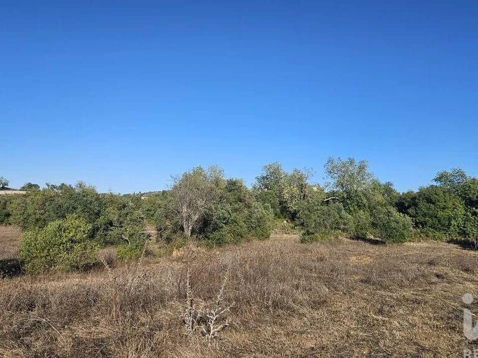 Helårsgrund i Faro, Faro - foto 5