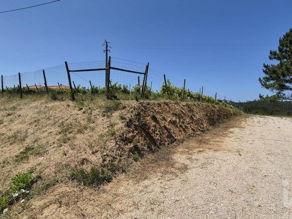 Tomt i Leiria, Leiria - bilde 3