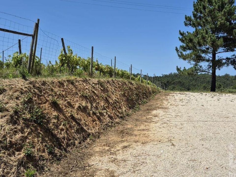 Tomt i Leiria, Leiria - bilde 4