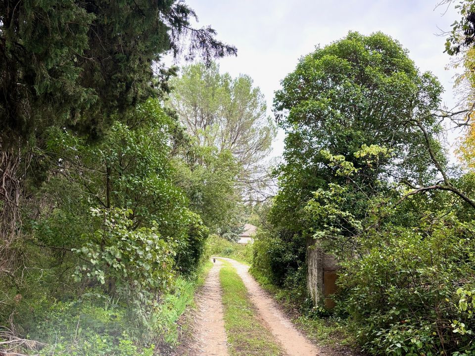 Willa: Carpentras, Vaucluse – zdjęcie 2