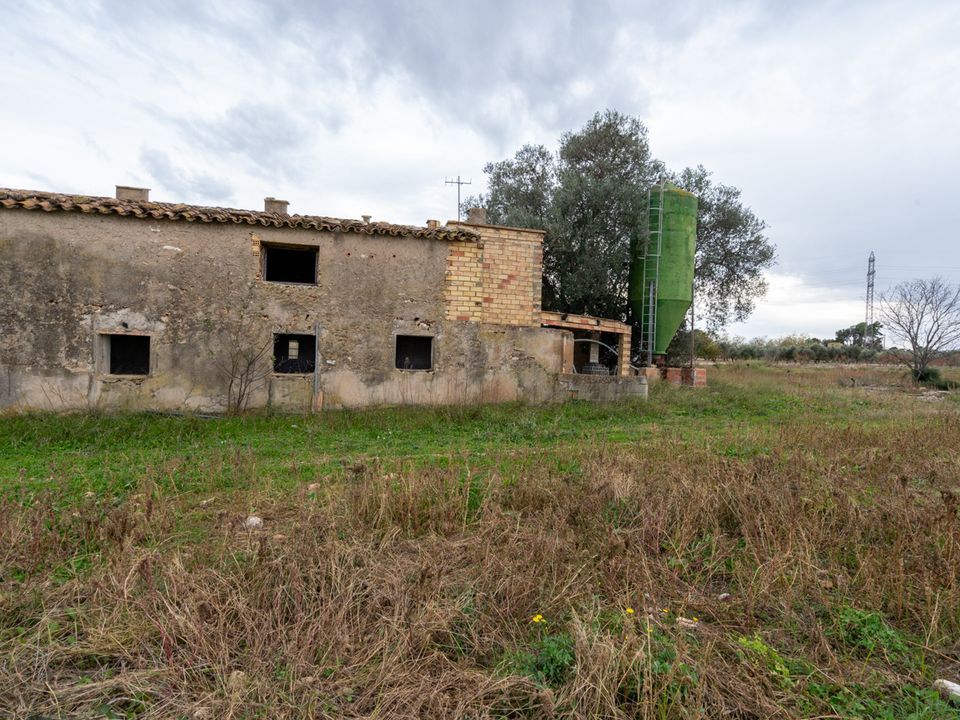 Finca i Ulldecona, Tarragona - foto 2
