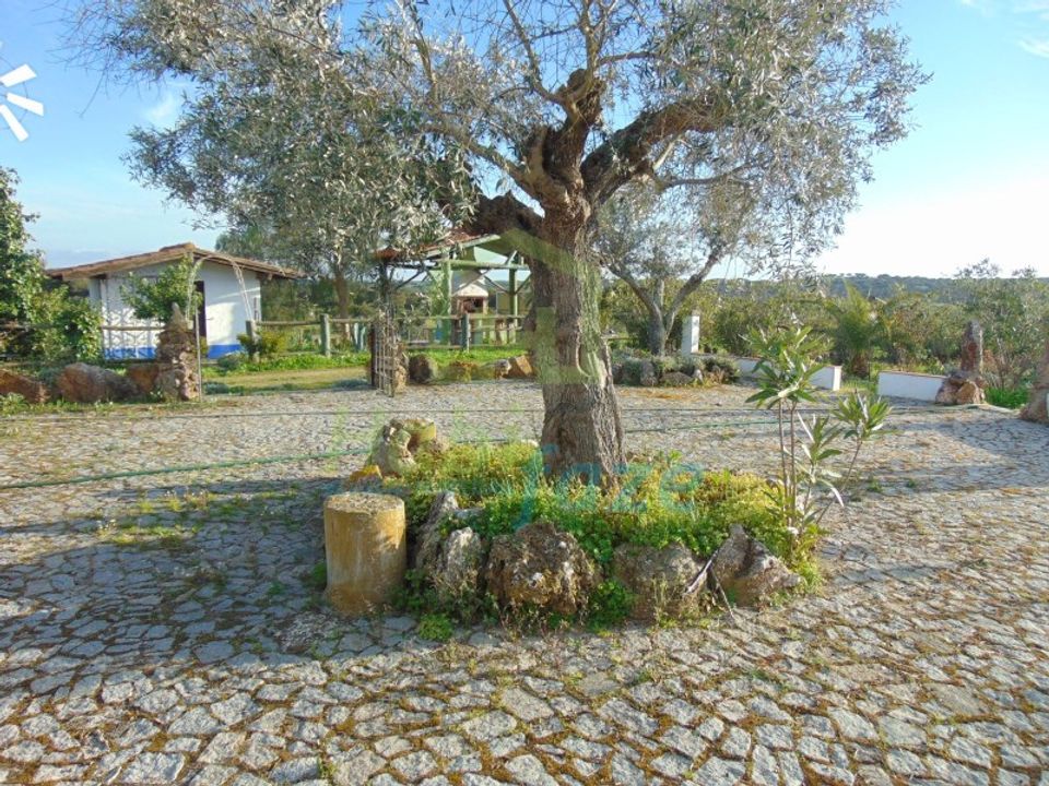 Farm i Evora, Evora - foto 2