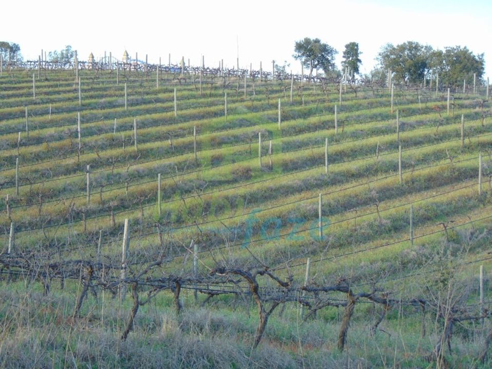Farm i Evora, Evora - foto 3