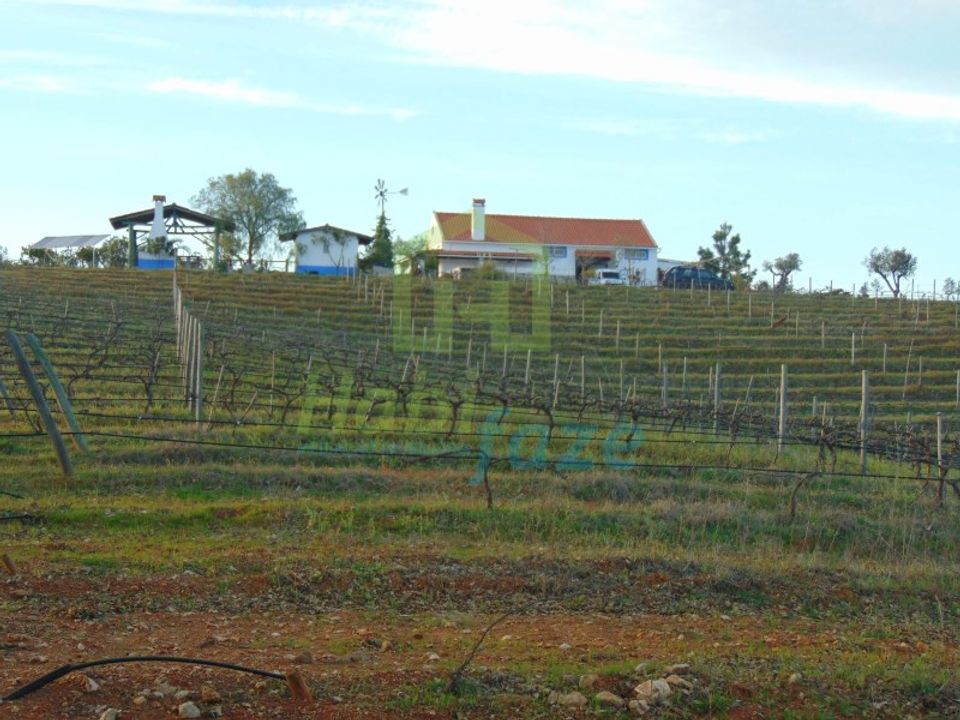 Farm i Evora, Evora - foto 4