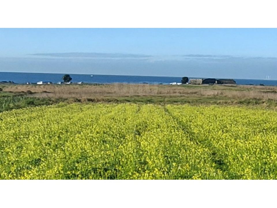 Helårsgrund i Areosa, Viana do Castelo - foto 1