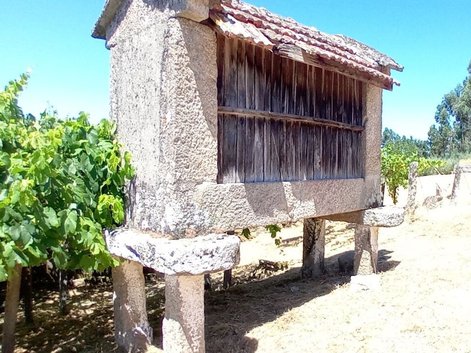 Villa i Podame, Viana do Castelo - foto 3