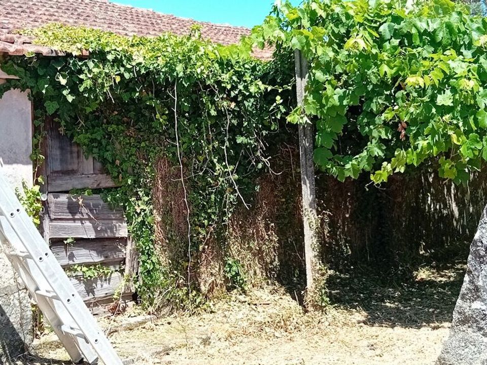 Villa i Podame, Viana do Castelo - foto 5
