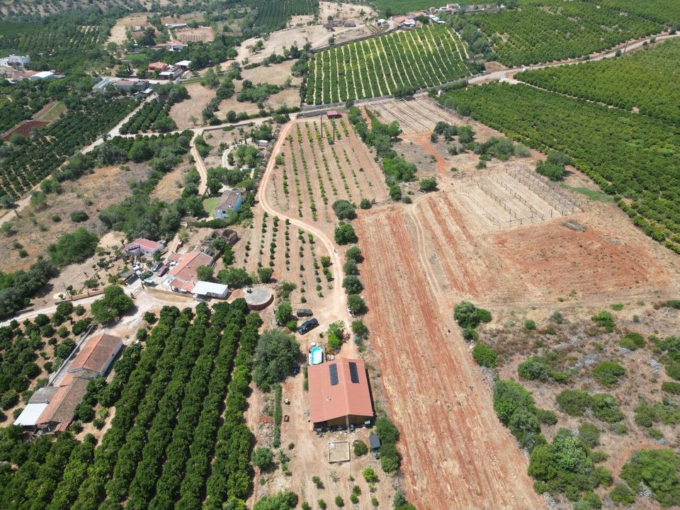 Helårsgrund i Algoz, Faro - foto 2