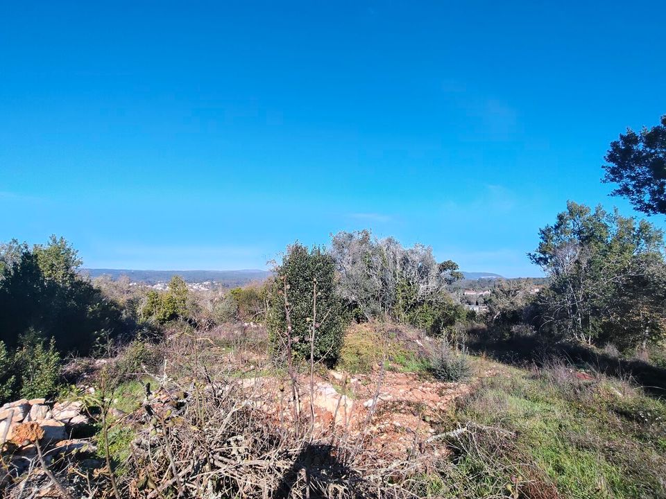 Helårsgrund i Ansiao, Leiria - foto 3