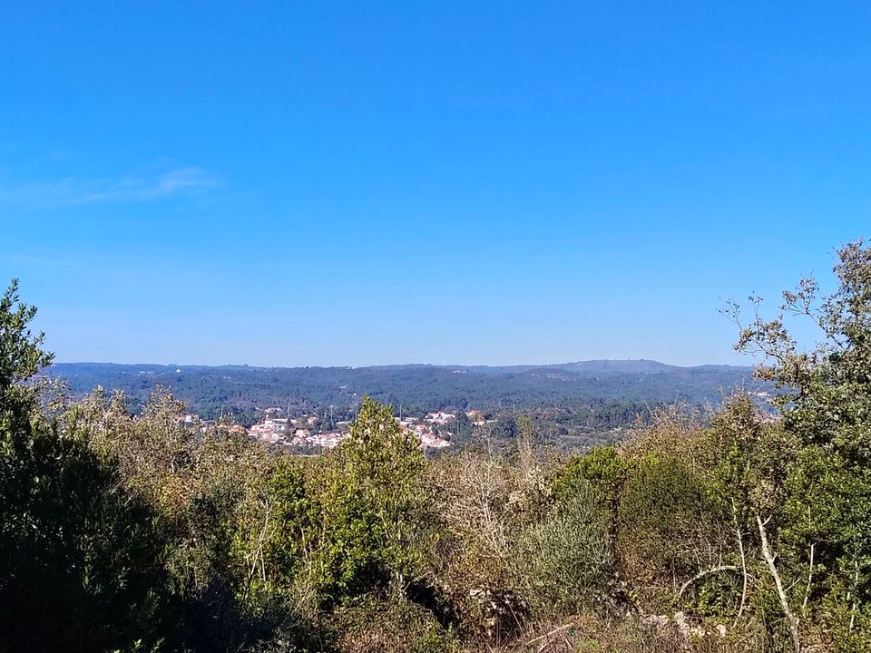 Helårsgrund i Ansiao, Leiria - foto 1