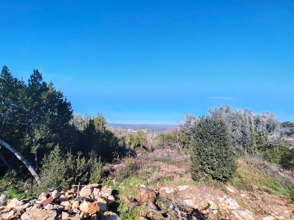 Helårsgrund i Ansiao, Leiria - foto 4