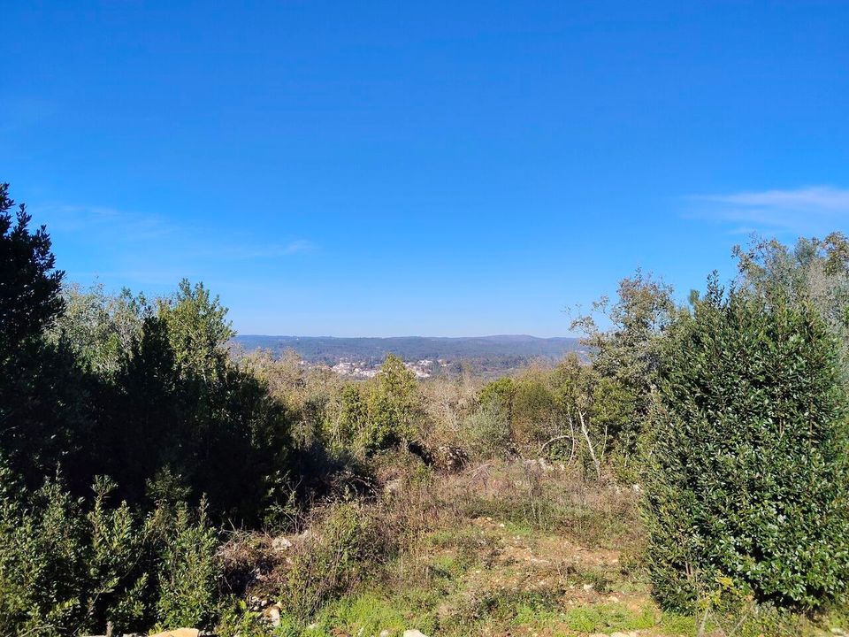 Helårsgrund i Ansiao, Leiria - foto 5