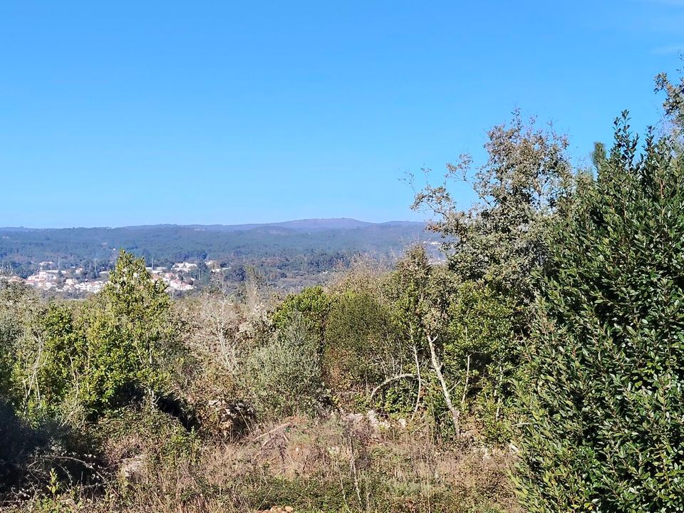 Helårsgrund i Ansiao, Leiria - foto 2