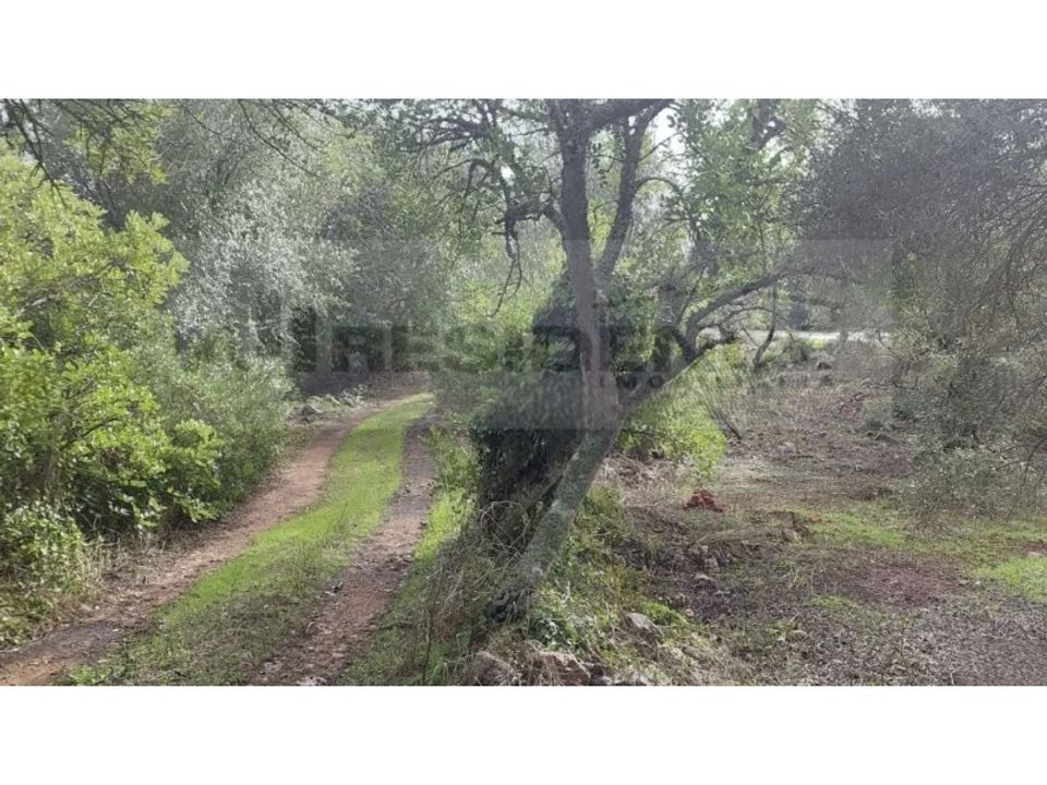 Helårsgrund i Alte, Faro - foto 1