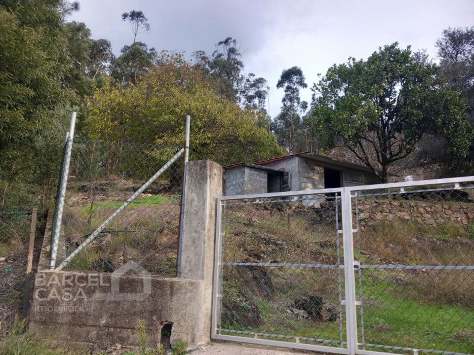 Helårsgrund i Barcelos, Braga - foto 4