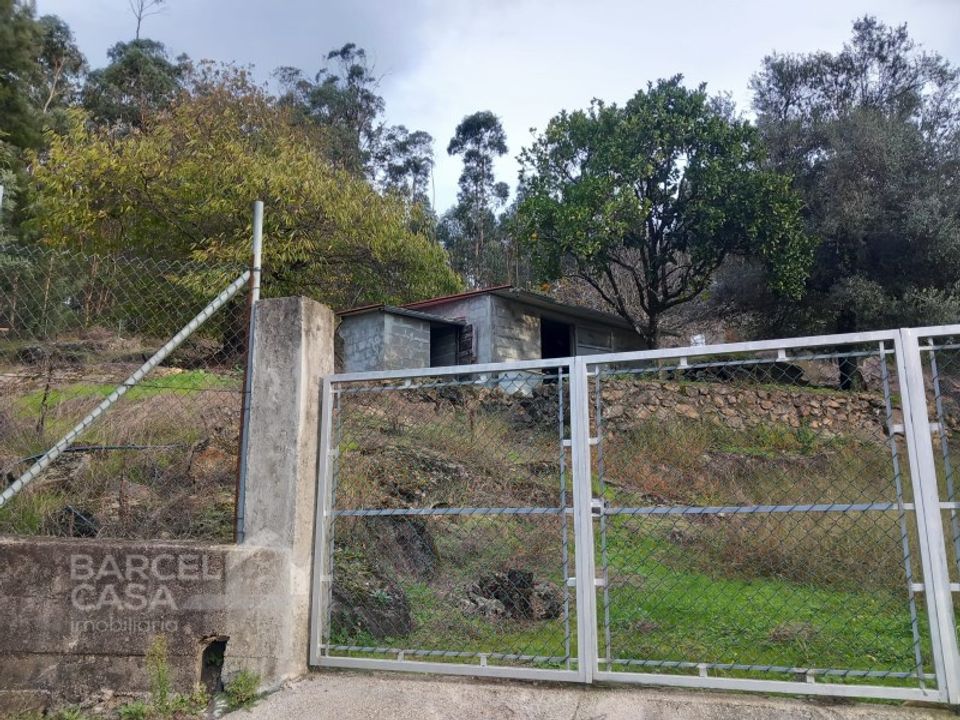 Helårsgrund i Barcelos, Braga - foto 5