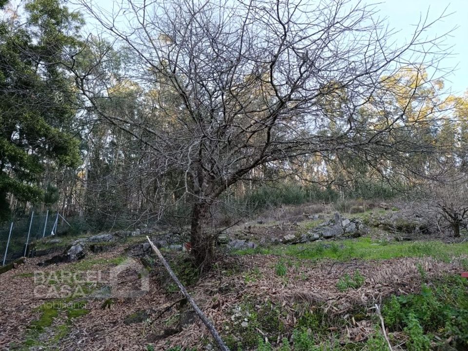 Helårsgrund i Barcelos, Braga - foto 4