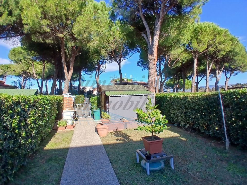 Lejlighed i Rosignano Marittimo, Livorno - foto 1