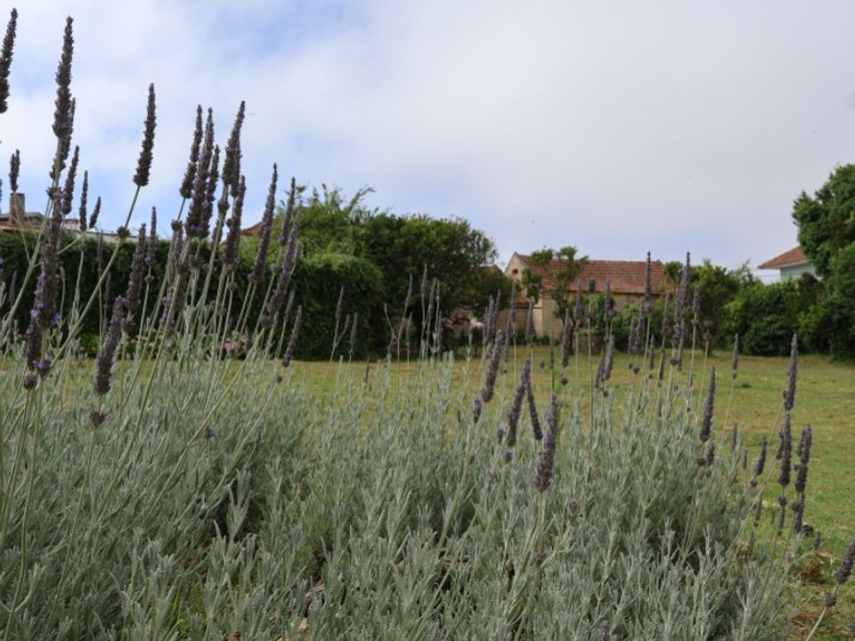 Helårsgrund i Obidos, Leiria - foto 1