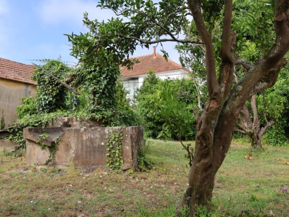 Helårsgrund i Obidos, Leiria - foto 4