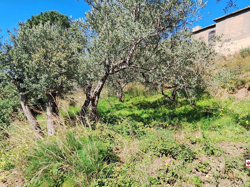 Helårsgrund i Messina, Messina - foto 3