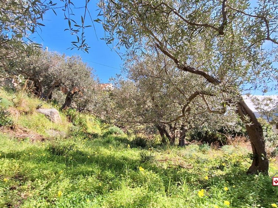 Helårsgrund i Messina, Messina - foto 4