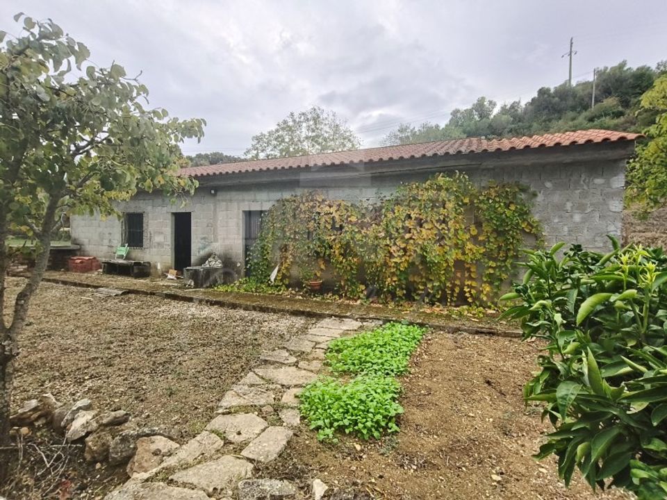 Helårsgrund i Torres Novas, Santarem - foto 2
