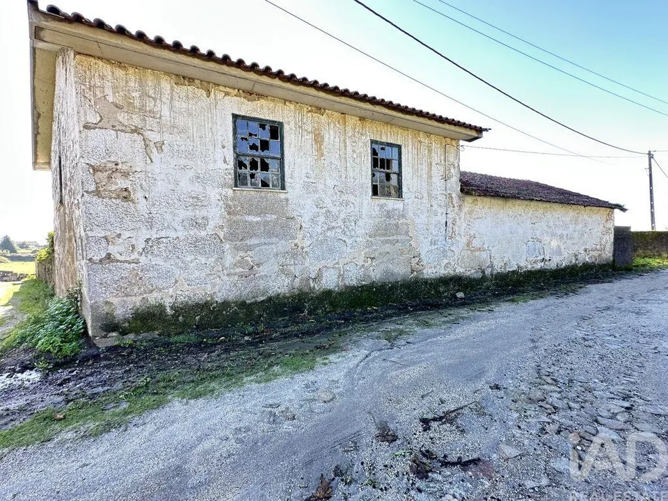 Farm i Barcelos, Braga - foto 2
