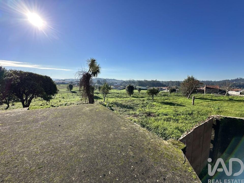 Farm i Barcelos, Braga - foto 5
