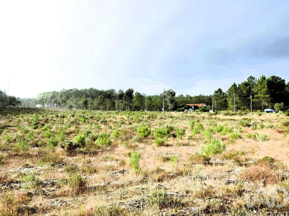 Działka: Alcobaca, Leiria – zdjęcie 4
