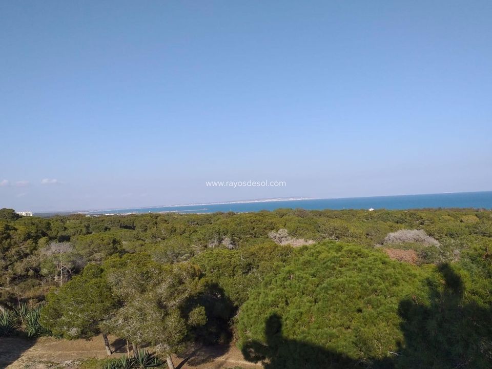 Lejlighed i Guardamar Del Segura, Alicante - foto 4