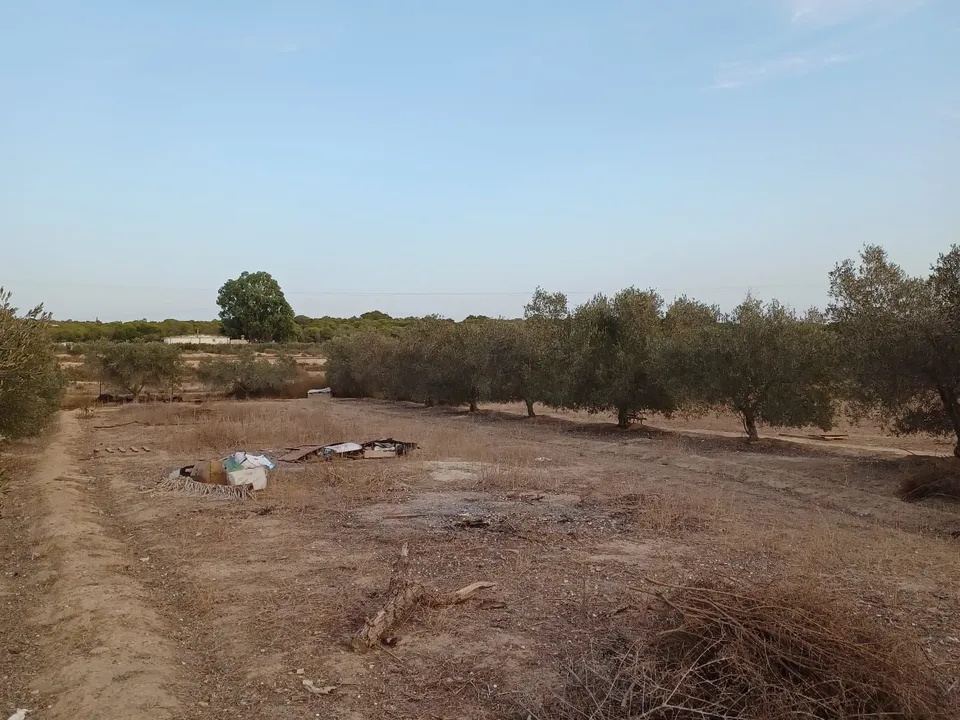 Landejendom i Elche, Alicante - foto 3