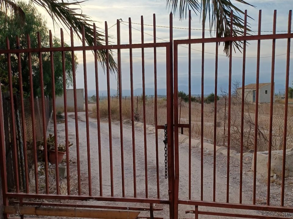 Landejendom i Elche, Alicante - foto 5