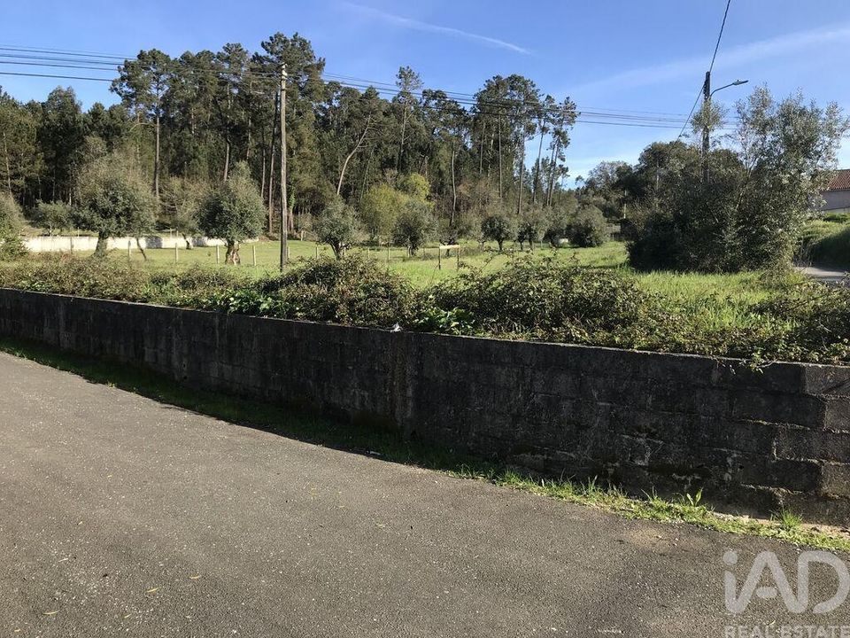 Helårsgrund i Ansiao, Leiria - foto 1