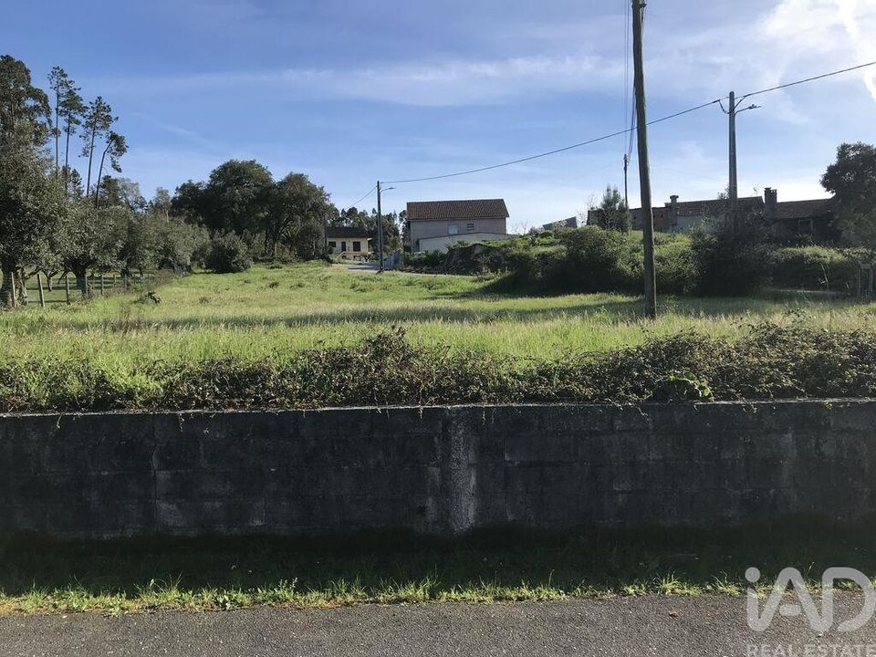 Helårsgrund i Ansiao, Leiria - foto 4