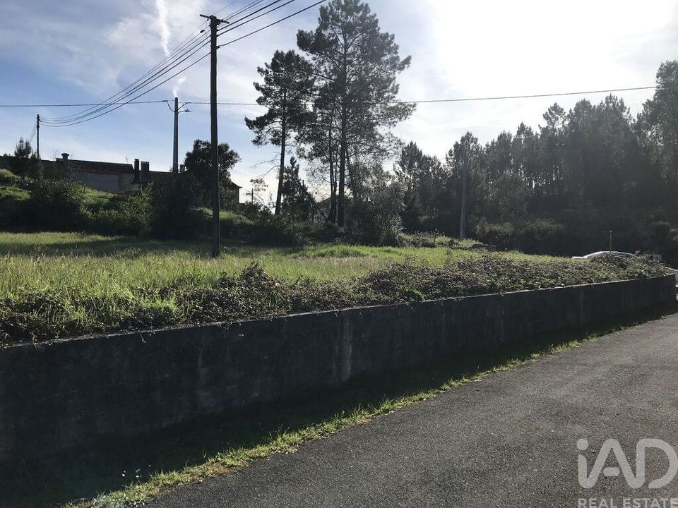 Helårsgrund i Ansiao, Leiria - foto 5