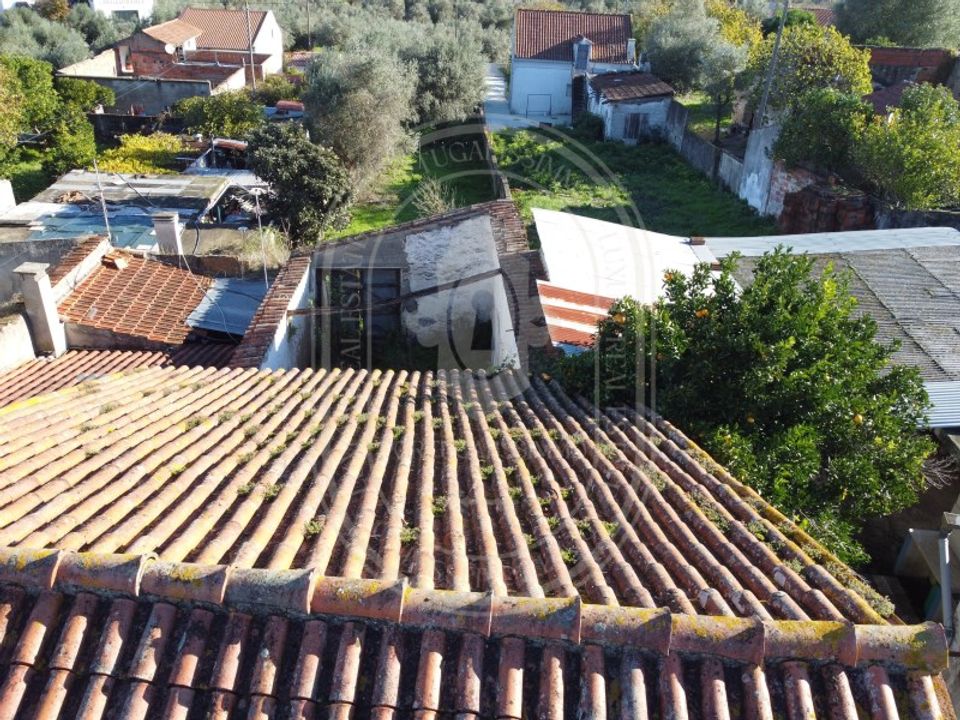 Landejendom i Olaia e Paco, Santarem - foto 5